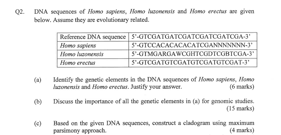 2. DNA sequences of Homo sapiens, Homo luzonensis and | Chegg.com