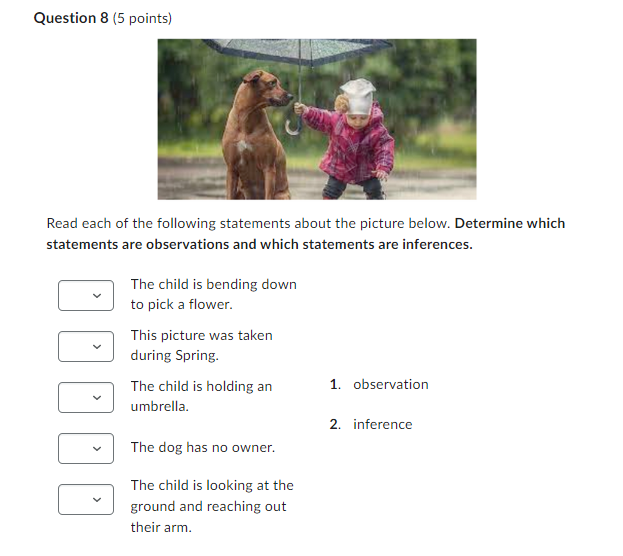 Solved Question 8 (5 Points) Read Each Of The Following | Chegg.com