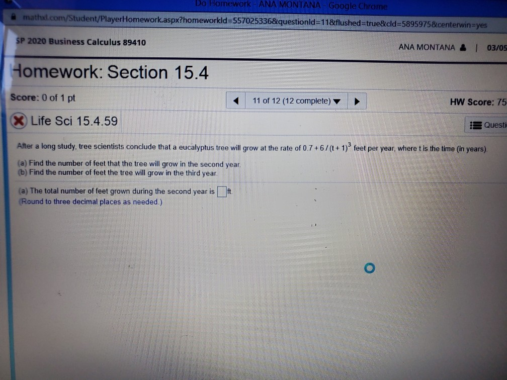 homework help montana