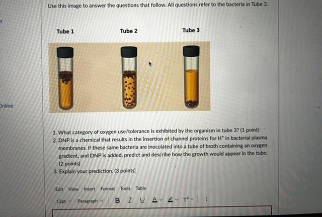 Solved Use this image to answer the questions that follow. | Chegg.com