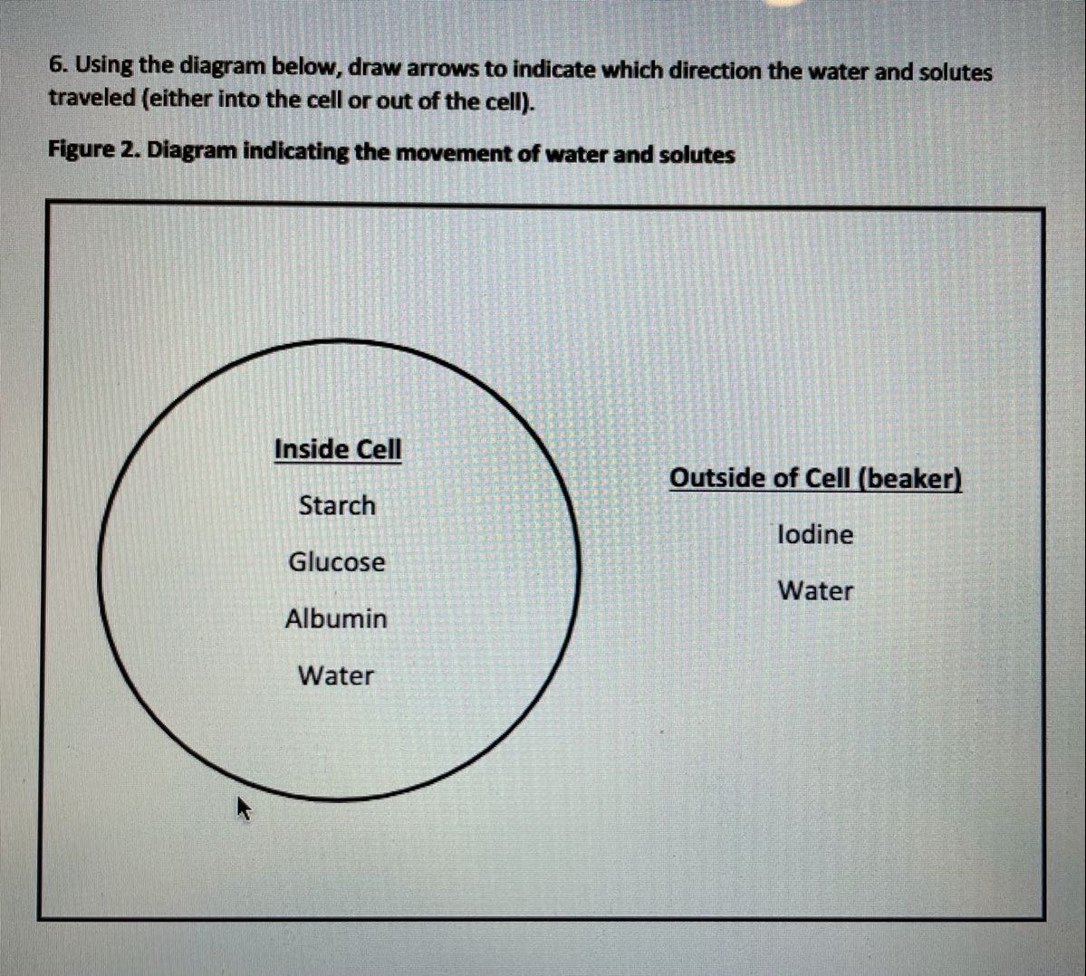 solved-6-using-the-diagram-below-draw-arrows-to-indicate-chegg