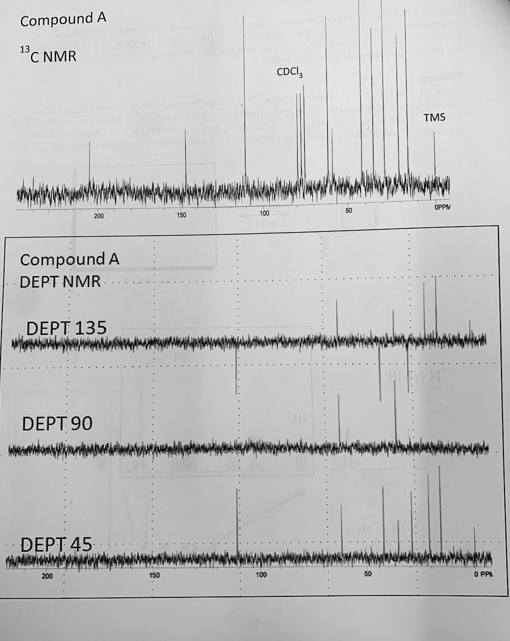 Solved Answer all of the following questions in the space | Chegg.com