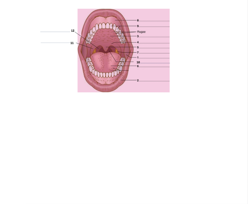 Solved 9 12 Rugae 3 4 7 1 10 -6 | Chegg.com