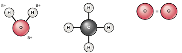 Solved Describe atomic structure using the terms proton, | Chegg.com