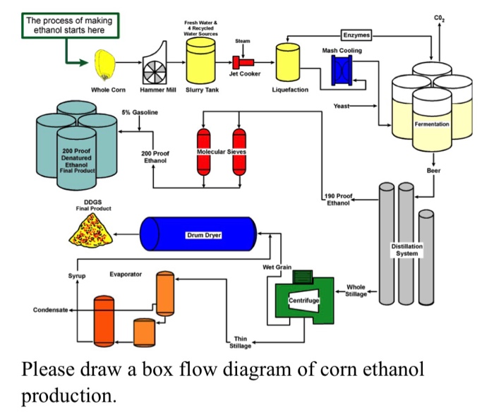 Solved Co2 The Process Of Making Ethanol Starts Here Fresh