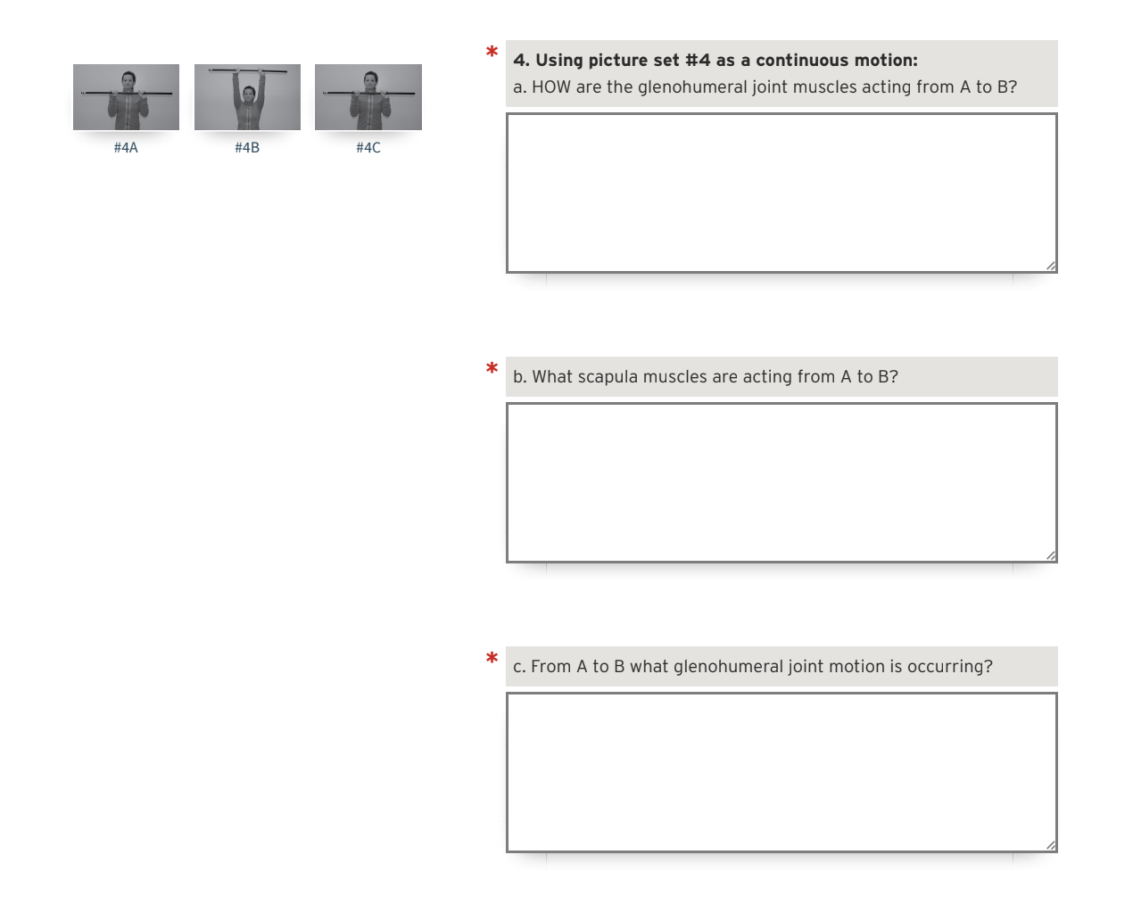 4. Using picture set \( \# 4 \) as a continuous motion: a. HOW are the glenohumeral joint muscles acting from A to B?