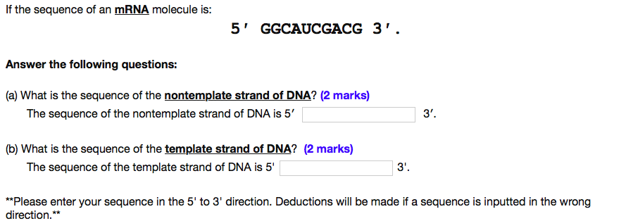 Solved If the sequence of an mRNA molecule is 5' GGCAUCGACG | Chegg.com