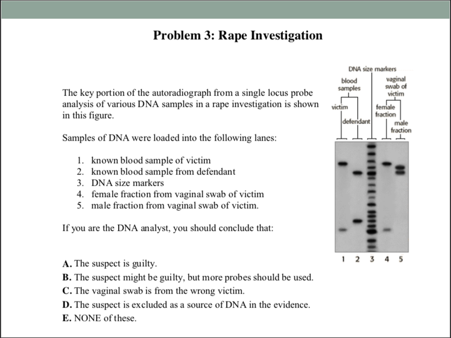 Problem 1 Determining Paternity Mother Child 2 Chegg Com