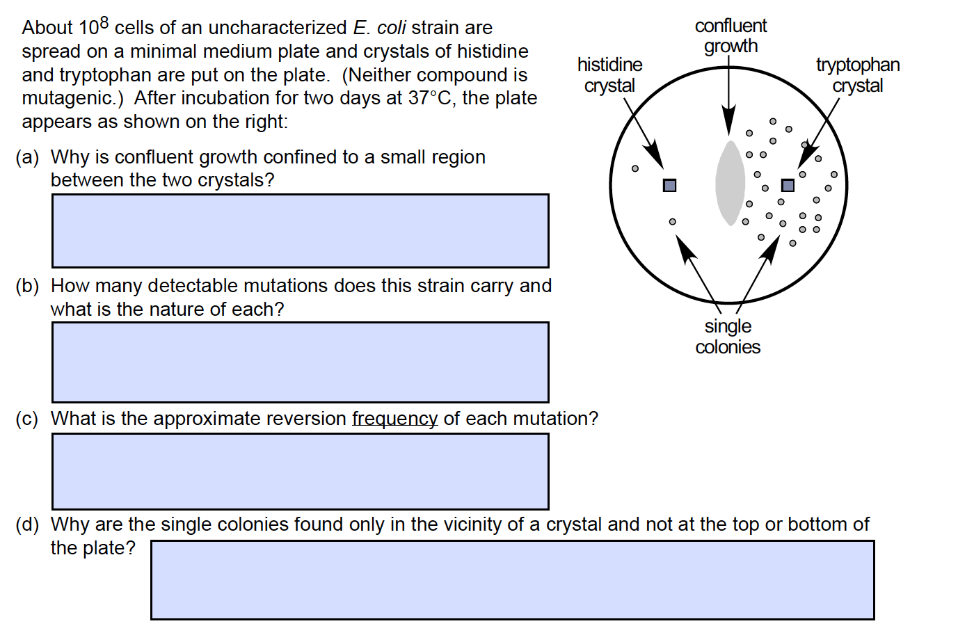 Solved confluent growth histidine crystal tryptophan crystal | Chegg.com