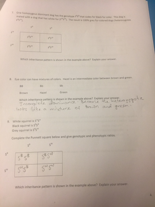 Solved Non-Mendelian Genetics Problems 9-25-17 There is a | Chegg.com