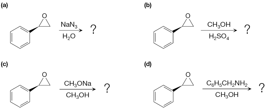 Solved Organic Chemistry: Reactions, Mechanisms, Organic | Chegg.com