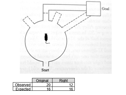 Edward Tolman Cognitive Map Solved Learning Psychologist Edward Tolman Wanted To | Chegg.com