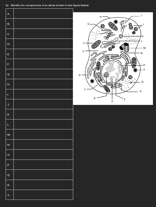 Solved B) Identify The Components Of A Cell As Shown In The | Chegg.com