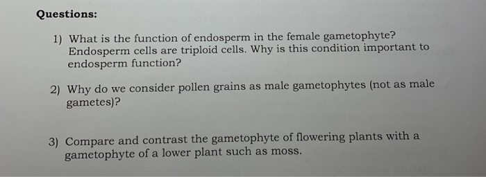 Solved Questions: 1) What is the function of endosperm in | Chegg.com