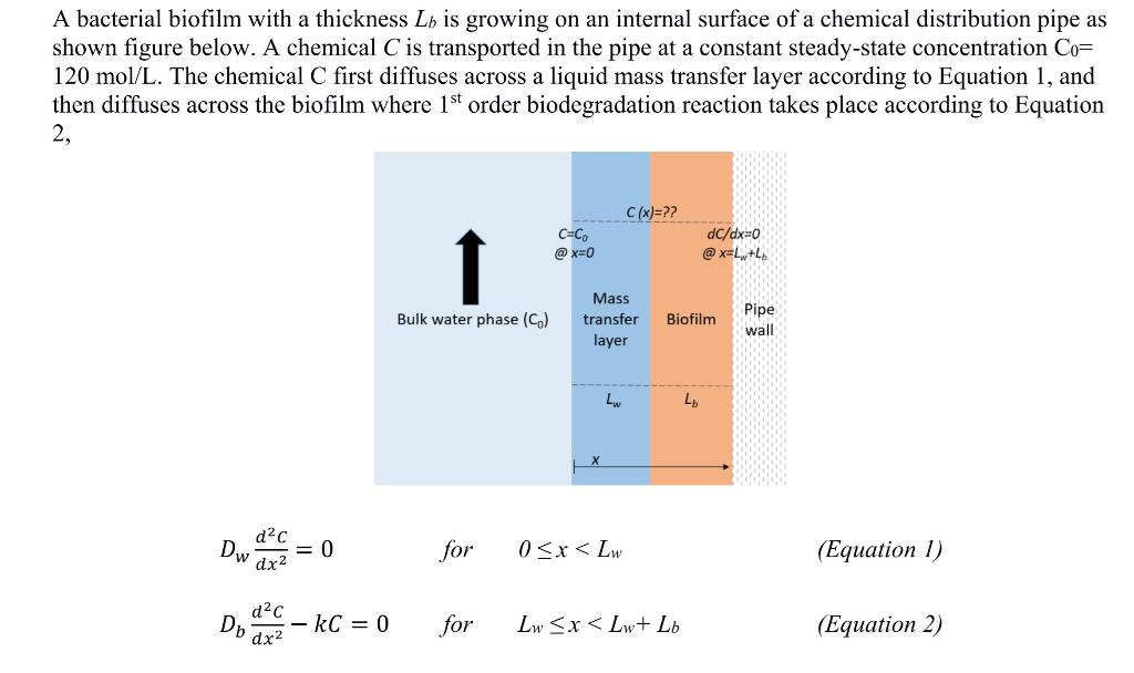 Solved A Bacterial Biofilm With A Thickness Ly Is Growin