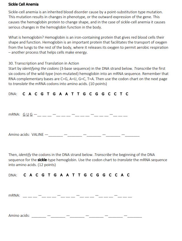 Solved Transcription and Translation in Action Start by | Chegg.com