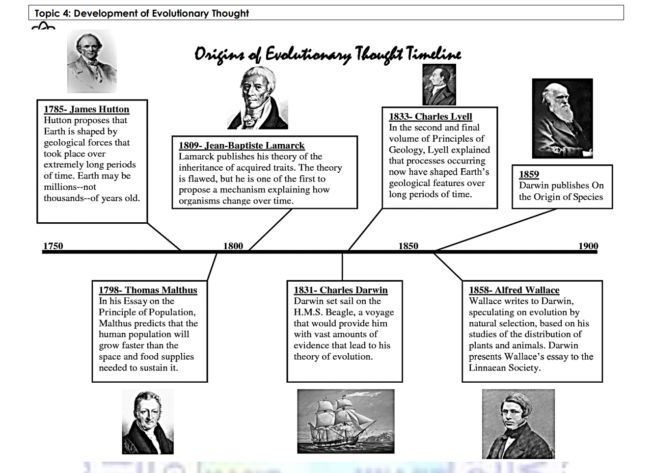 human history timeline evolution