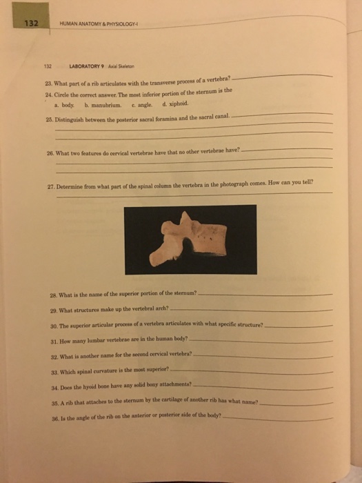 Solved Laboratory Manual for Saladin Anatomy & Physiology