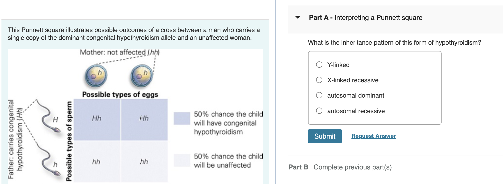 Solved This Punnett square illustrates the possible outcomes | Chegg.com