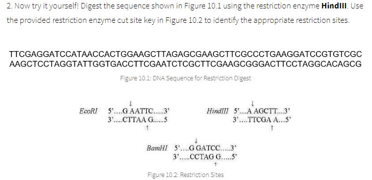 Solved Hello, I can not seem to figure out this question. A | Chegg.com