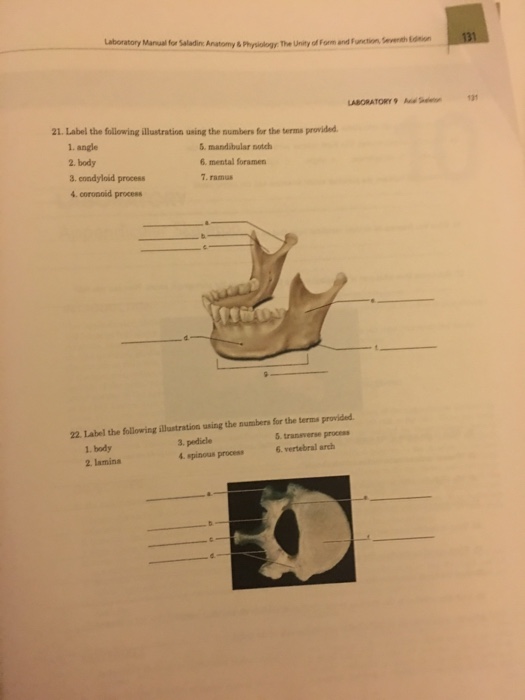 Solved Laboratory Manual for Saladin Anatomy & Physiology