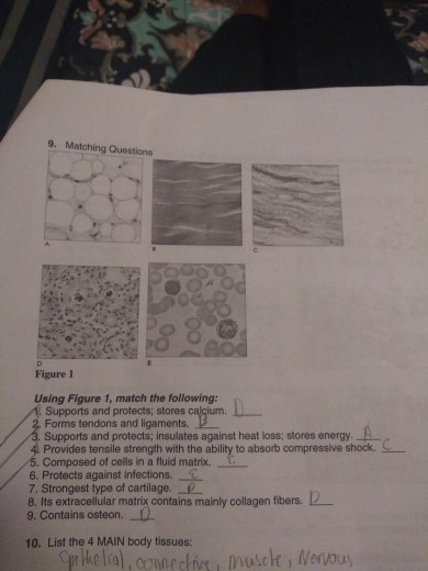 solved-matching-match-the-following-words-with-its-correct-chegg