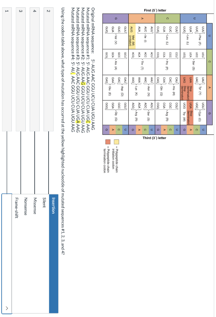 Solved = Polypeptide chain initiation codon = Polypeptide | Chegg.com