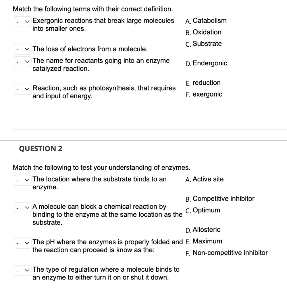 Solved Match the following terms with their correct | Chegg.com