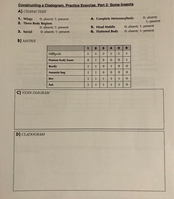 Of The Best Making Cladograms Worksheet Answers - Goal keeping intelligence