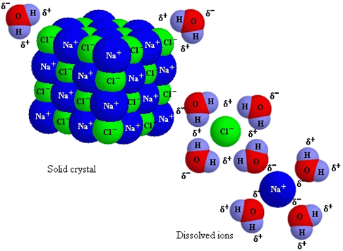 Solved Would a hydration shell form around the atoms of a | Chegg.com