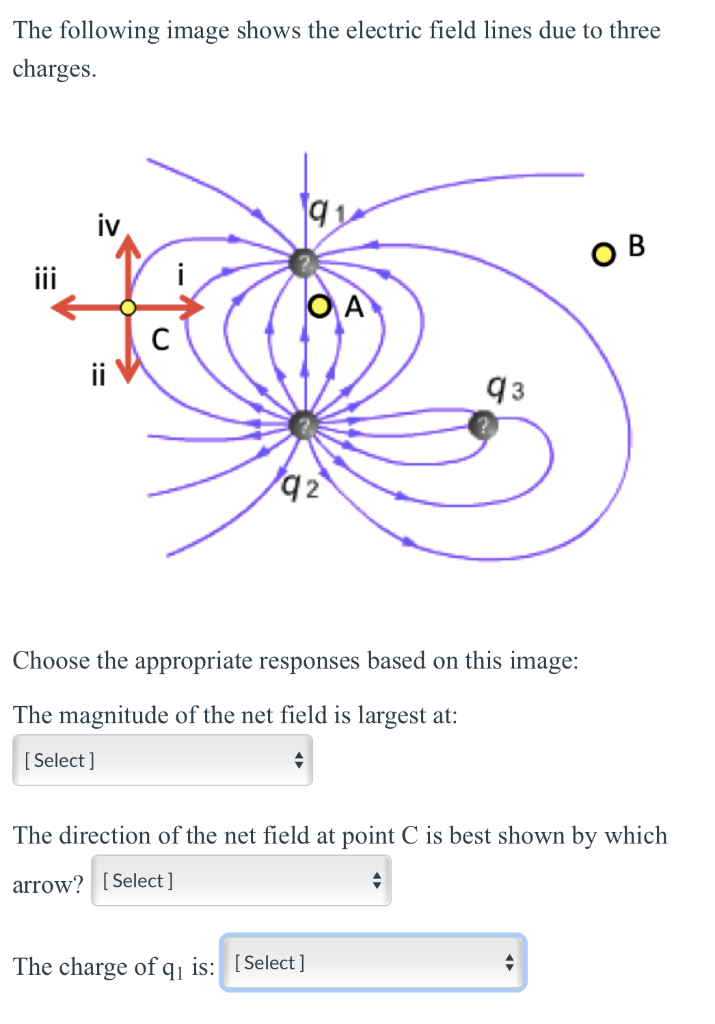 Solved: The Following Image Shows The Electric Field Lines... | Chegg.com