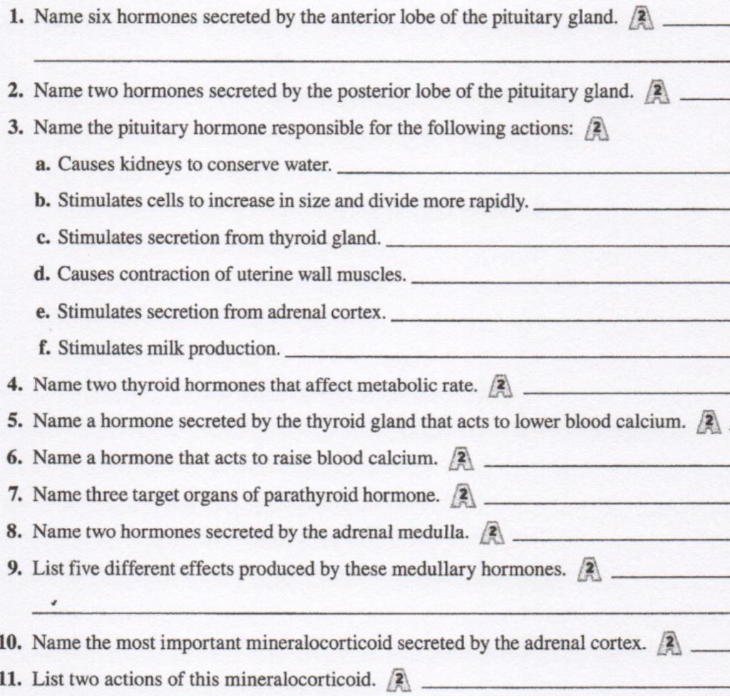 solved-1-name-six-hormones-secreted-by-the-anterior-lobe-of-chegg