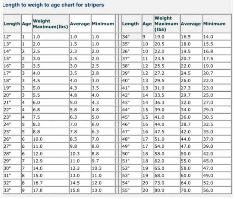 Bass Weight Chart: A Visual Reference of Charts | Chart Master