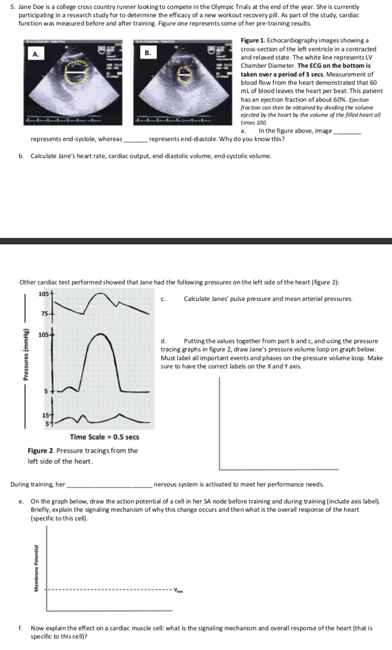 Fig. A Mean quiz performance outcomes and response device