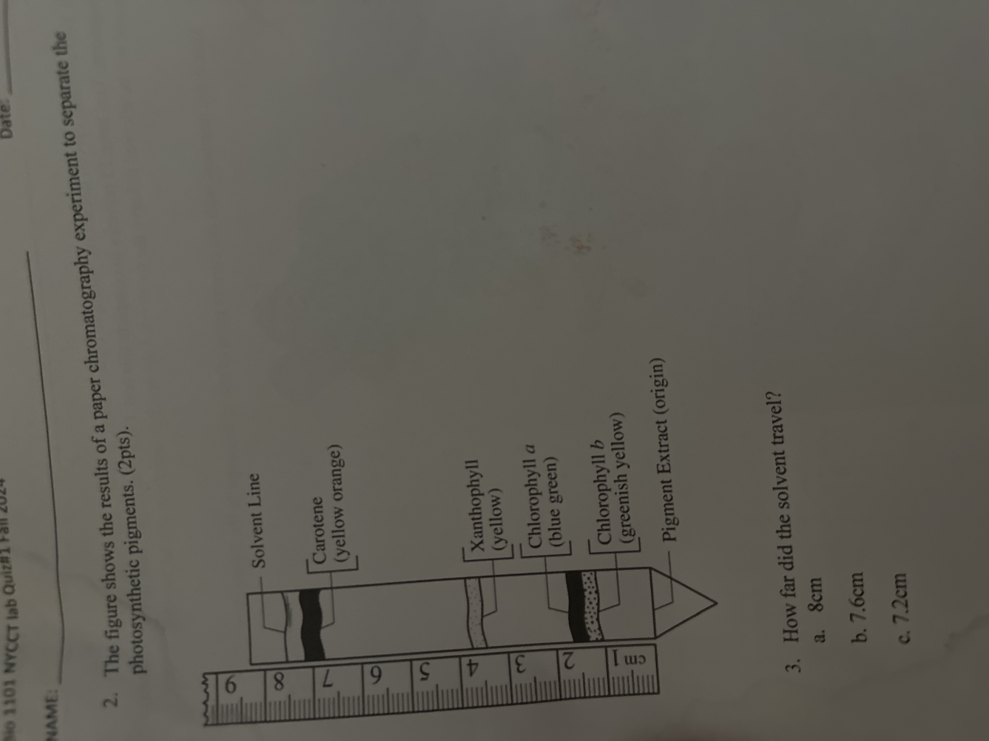 Solved The figure shows the results of a paper | Chegg.com