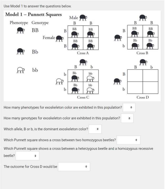 Solved Use Model 1 to answer the questions below. Model 1 - | Chegg.com