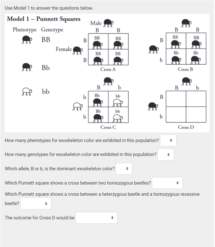 Solved Use Model 1 To Answer The Questions Below. Model 1 - | Chegg.com