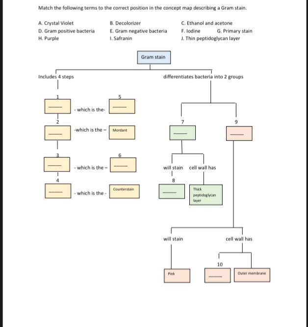 Solved Match the following terms to the correct position in | Chegg.com