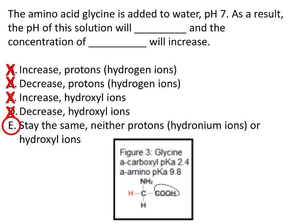 Solved Can someone explain why the pH does not decrease and | Chegg.com