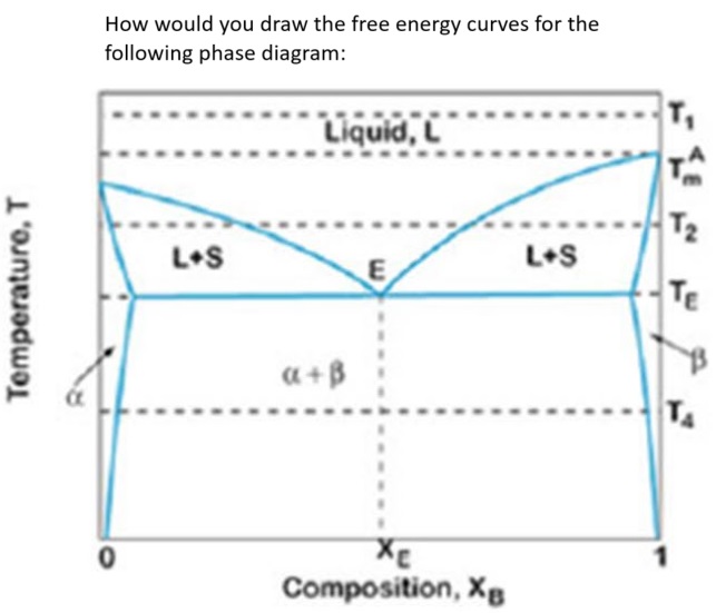 Solved How would you draw the free energy curves for the | Chegg.com