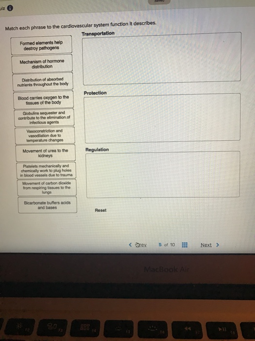 solved-ulz-match-each-phrase-to-the-cardiovascular-system-chegg