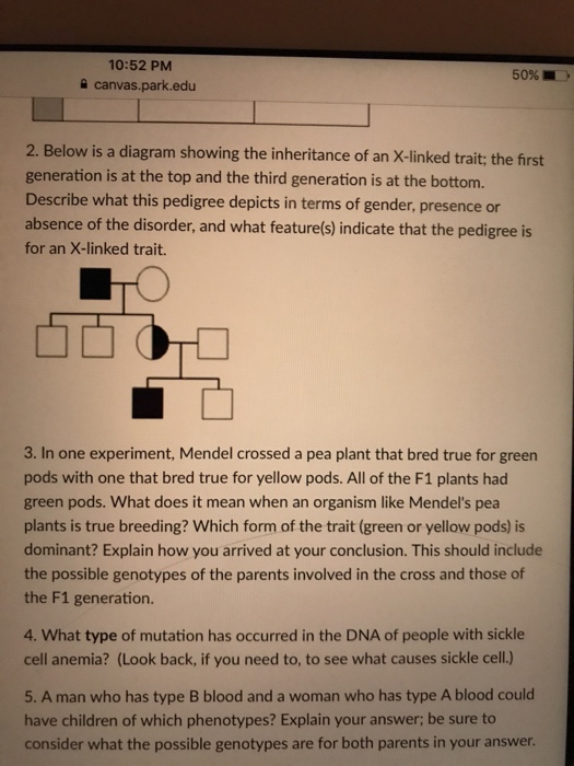 Solved Below is a diagram showing the inheritance of an | Chegg.com