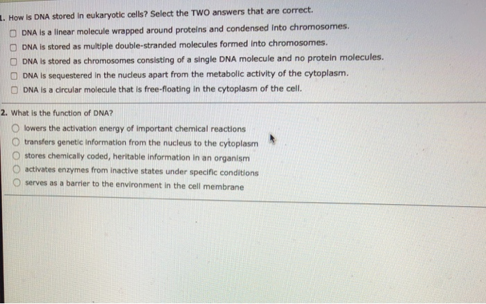 How Is Dna Stored In Eukaryotic Cells