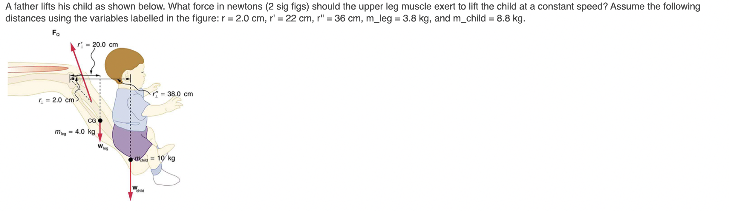 Solved A father lifts his child as shown below. What force