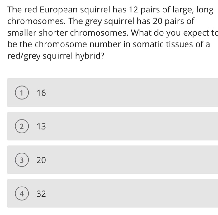 Solved The red European squirrel has 12 pairs of large, long | Chegg.com