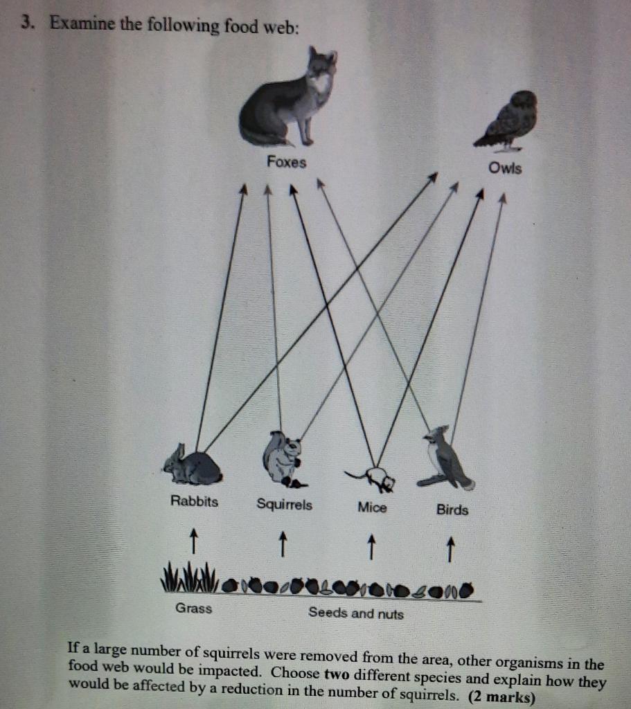 Solved 3. Examine the following food web: If a lar food web | Chegg.com