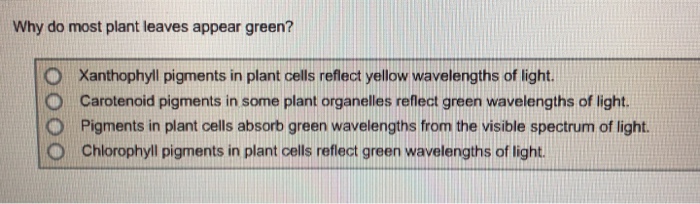 solved-why-do-most-plant-leaves-appear-green-o-xanthophyll-chegg