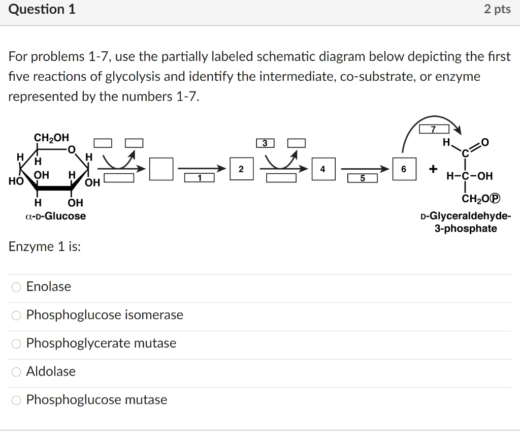Solved Question 1 2 pts For problems 1-7, use the partially | Chegg.com