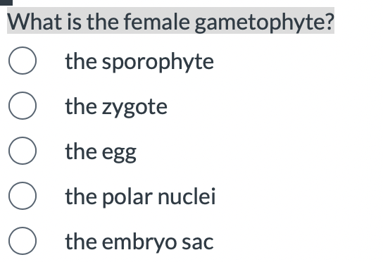 Solved What Is The Female Gametophyte? The Sporophyte The | Chegg.com