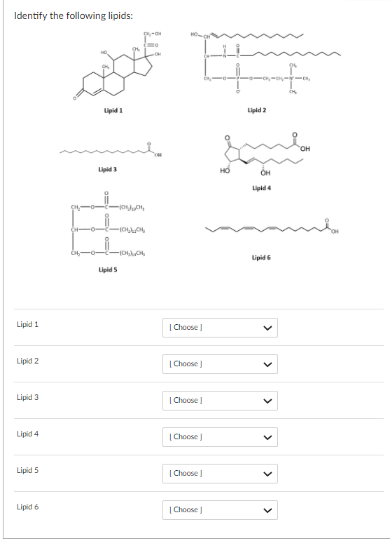 Solved Identify the following lipids: -OH CH, ан CH - | Chegg.com